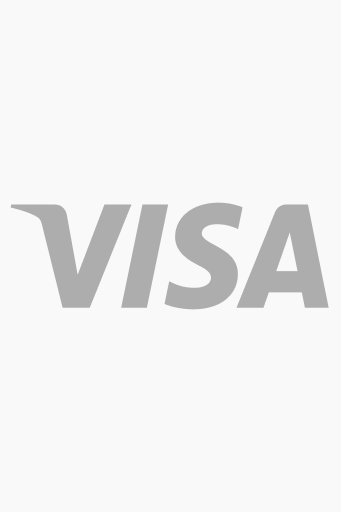 Icon - Visa